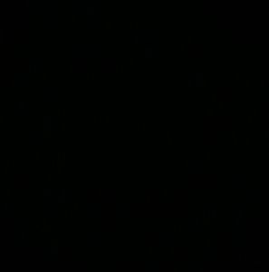 Meet your Posher, Dolores